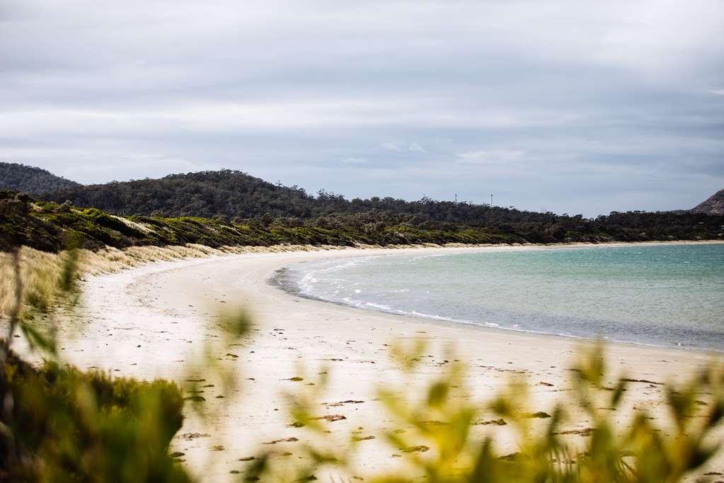 ホテル Saffire - Freycinet コールズ・ベイ 自然 写真