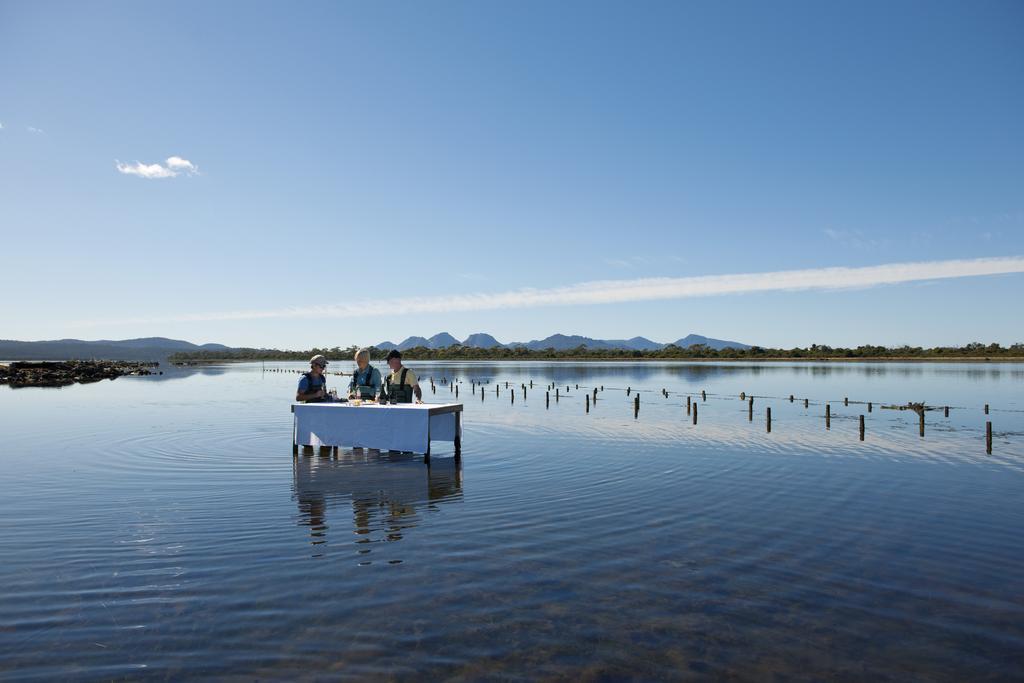 ホテル Saffire - Freycinet コールズ・ベイ エクステリア 写真
